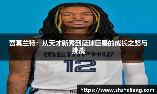 星空综合·(中国)官方网站